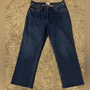 Abercrombie & Fitch Dark Wash Low Rise Baggy Jeans Size 32/14